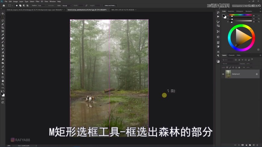 PS創(chuàng)意合成森林中的新娘和鳥籠