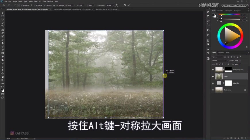 PS創(chuàng)意合成森林中的新娘和鳥籠
