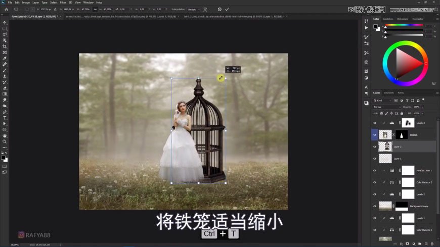 PS創(chuàng)意合成森林中的新娘和鳥籠