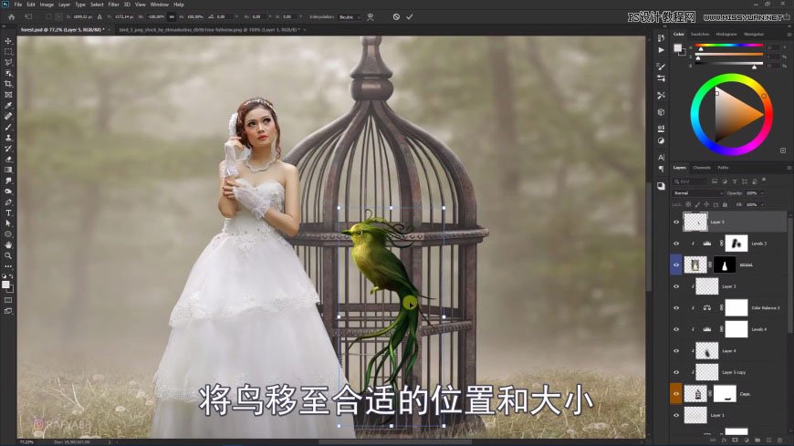 PS創(chuàng)意合成森林中的新娘和鳥籠