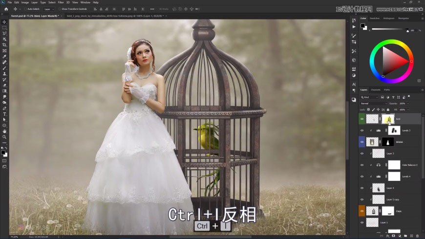 PS創(chuàng)意合成森林中的新娘和鳥籠