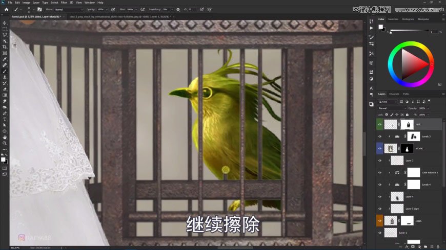 PS創(chuàng)意合成森林中的新娘和鳥籠