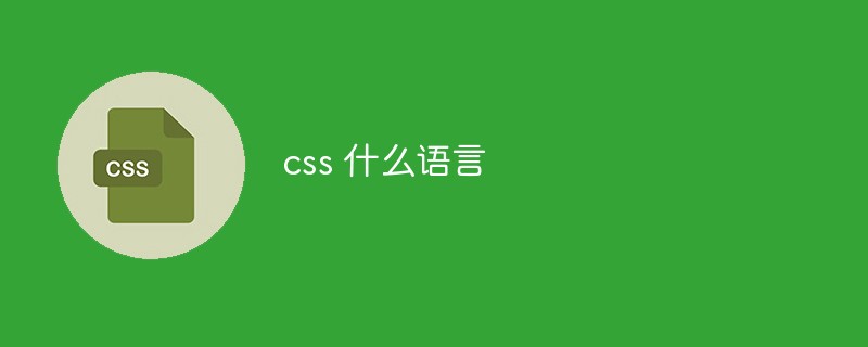 css 什么語言