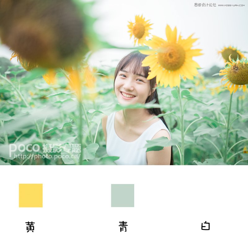 PS為向日葵中女孩調(diào)出日系暖色效果