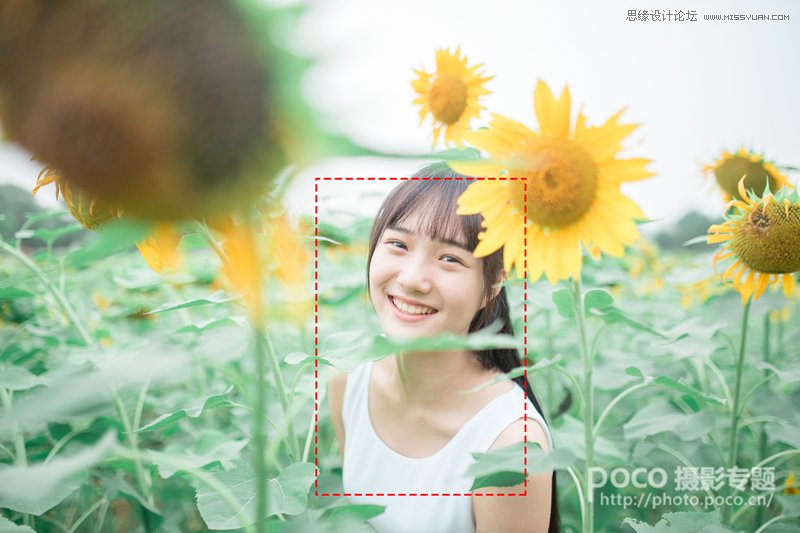 PS為向日葵中女孩調(diào)出日系暖色效果