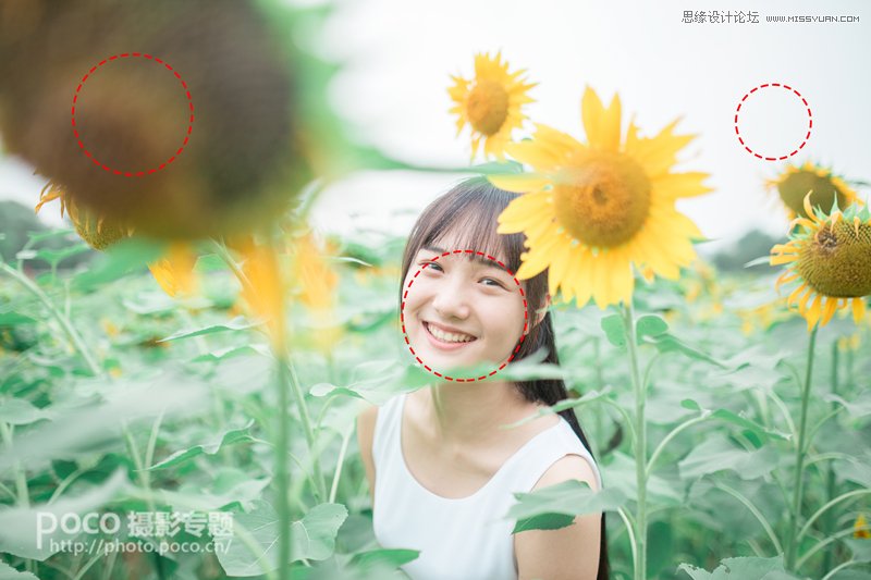 PS為向日葵中女孩調(diào)出日系暖色效果