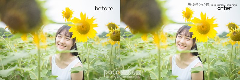 PS為向日葵中女孩調(diào)出日系暖色效果