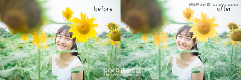 PS為向日葵中女孩調(diào)出日系暖色效果