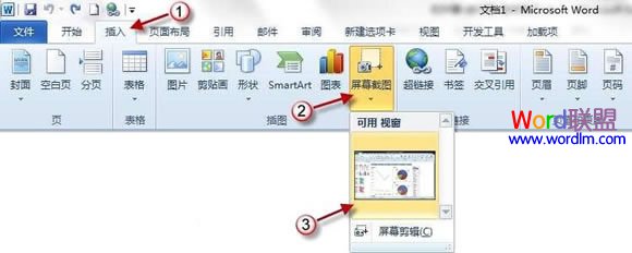 word屏幕截圖 Word2010屏幕截圖插入功能如何使用？