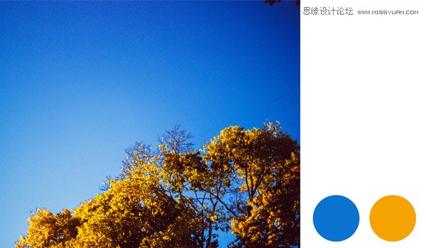 PS巧用照片配色方案創(chuàng)建色板教程