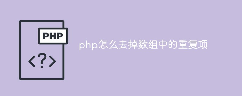 php怎么去掉數(shù)組中的重復(fù)項(xiàng)