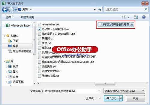 文本數(shù)據(jù)導(dǎo)入excel 外部文本數(shù)據(jù)導(dǎo)入Excel 2013的方法