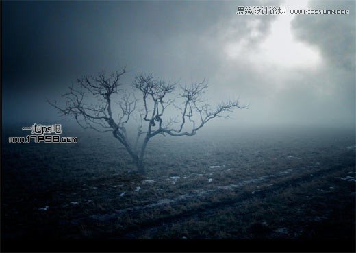 PS合成在野外成長(zhǎng)的枯樹場(chǎng)景