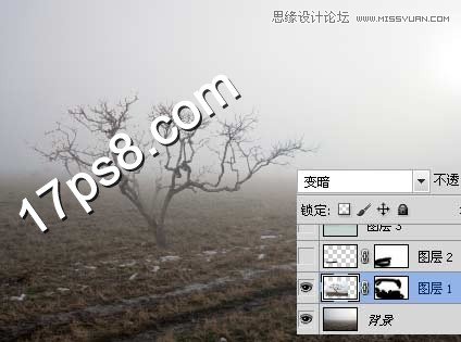 PS合成在野外成長(zhǎng)的枯樹場(chǎng)景