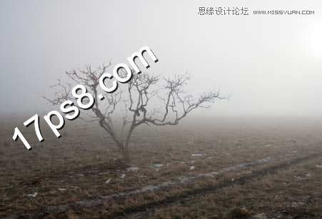 PS合成在野外成長(zhǎng)的枯樹場(chǎng)景