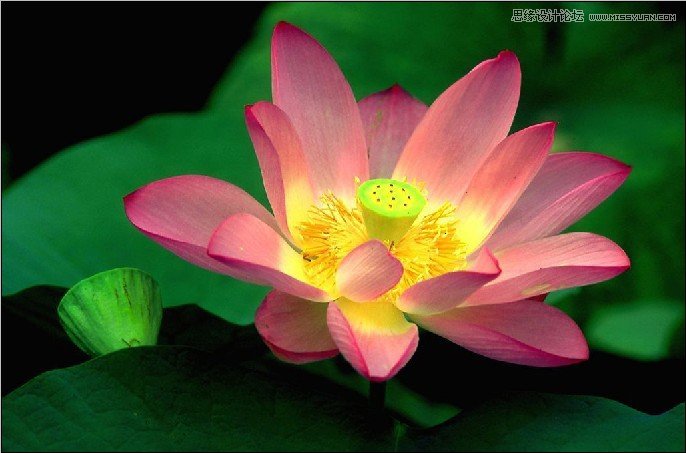 PS深度解析蒙版的應(yīng)用和技巧