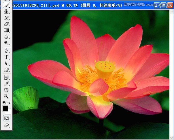 PS深度解析蒙版的應(yīng)用和技巧