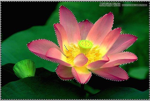 PS深度解析蒙版的應(yīng)用和技巧