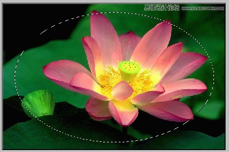 PS深度解析蒙版的應(yīng)用和技巧