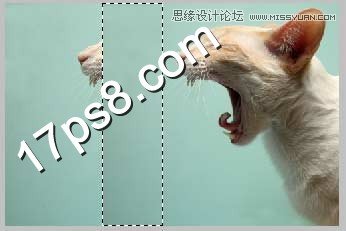 PS合成生化異形噴火貓教程