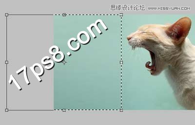 PS合成生化異形噴火貓教程