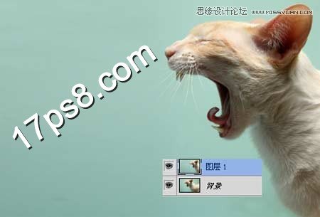 PS合成生化異形噴火貓教程