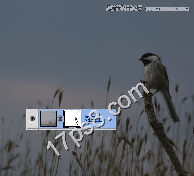 PS合成草叢中樹枝上的翠鳥