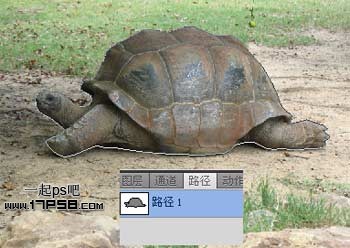 PS打造公益性質(zhì)的生態(tài)保護(hù)海報(bào)