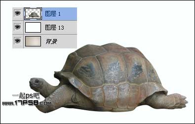 PS打造公益性質(zhì)的生態(tài)保護(hù)海報(bào)