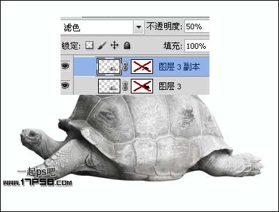 PS打造公益性質(zhì)的生態(tài)保護(hù)海報(bào)