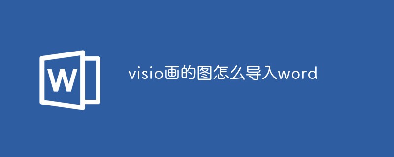 visio畫(huà)的圖怎么導(dǎo)入word