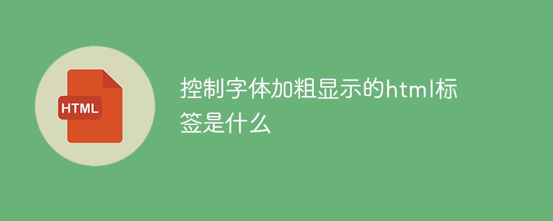 控制字體加粗顯示的html標簽是什么