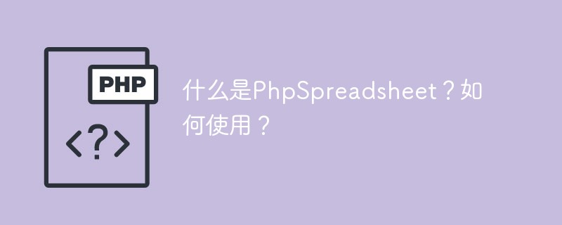 什么是PhpSpreadsheet？如何使用？