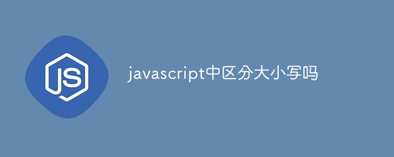 javascript中區(qū)分大小寫嗎
