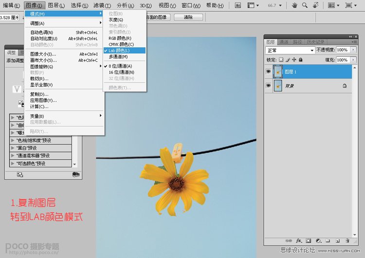 PS調(diào)出夏日小花圖片日系色調(diào)