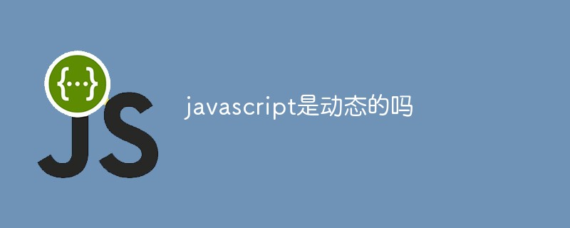 javascript是動態(tài)的嗎