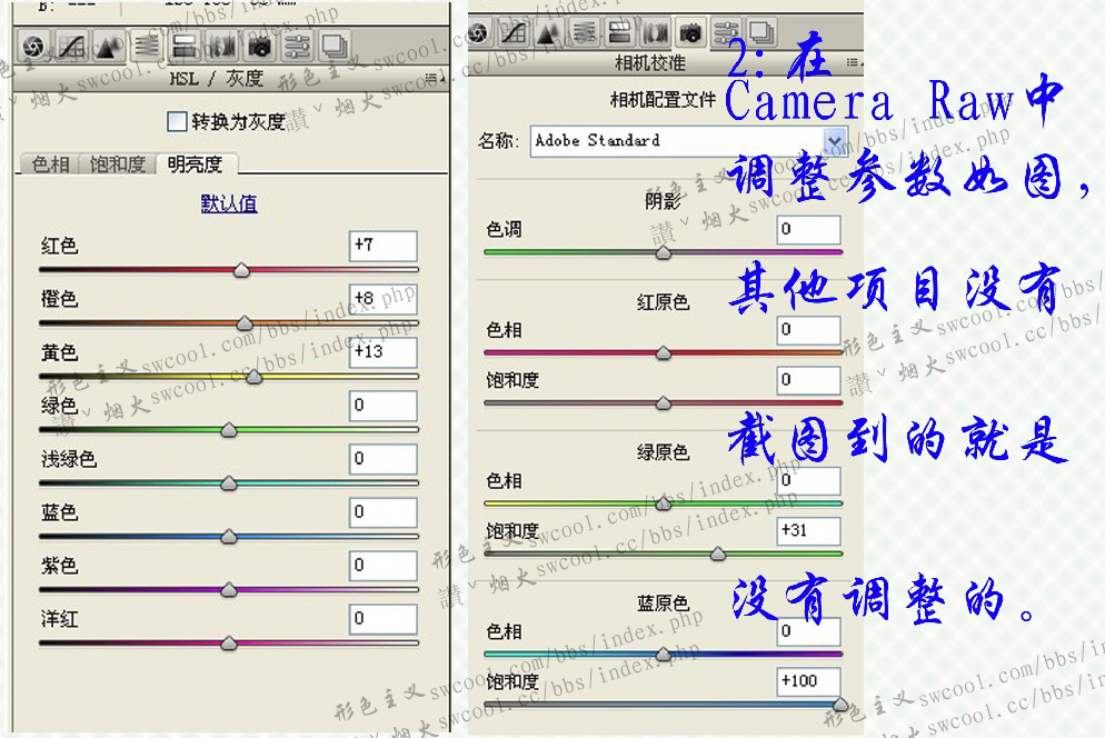 PS為美女照片調(diào)出淡淡的暗青色調(diào)