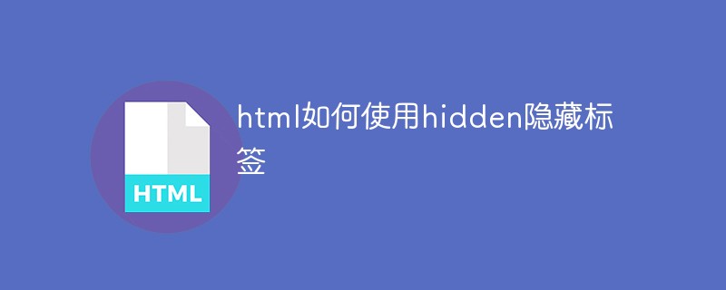 html如何使用hidden隱藏標(biāo)簽