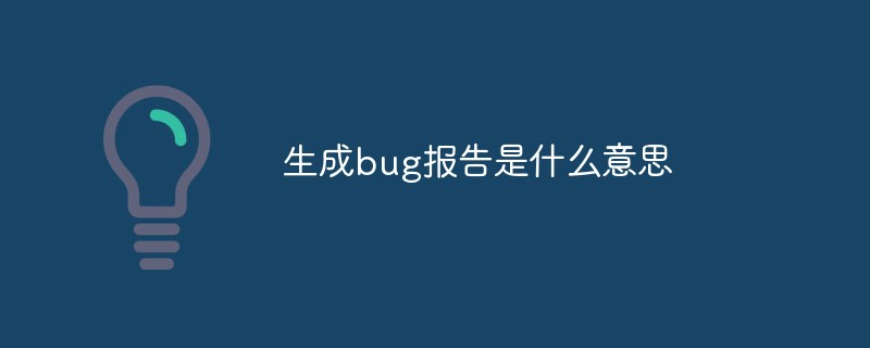 生成bug報告是什么意思