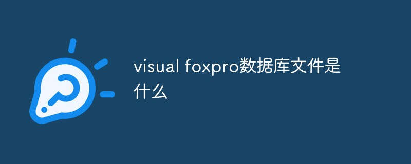 visual foxpro數(shù)據(jù)庫文件是什么