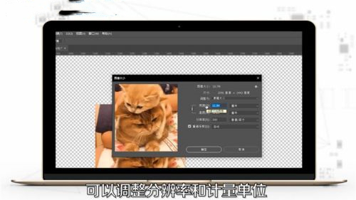 ps怎么調(diào)整圖片大小 ps圖片大小的調(diào)整方法