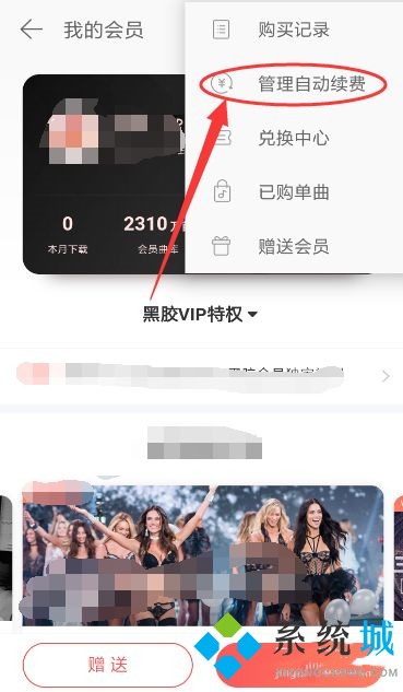 網(wǎng)易云怎么取消自動(dòng)續(xù)費(fèi)黑膠vip 網(wǎng)易云取消黑膠vip方法介紹