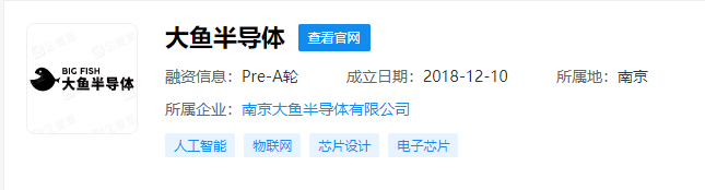 分拆于小米松果的大魚半導(dǎo)體，完成近億元 A 輪融資