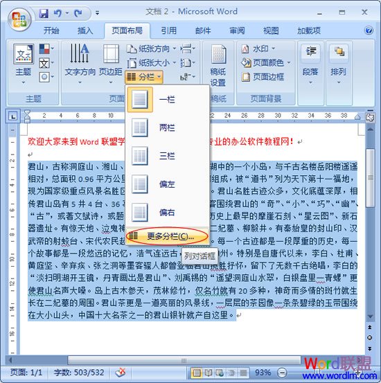 設(shè)置分欄效果 Word2007設(shè)置分欄效果不求人！