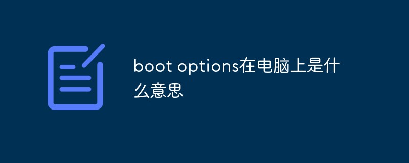 boot options在電腦上是什么意思