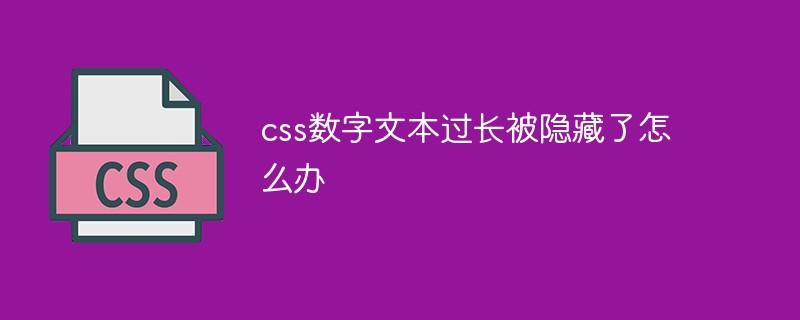 css數(shù)字文本過(guò)長(zhǎng)被隱藏了怎么辦