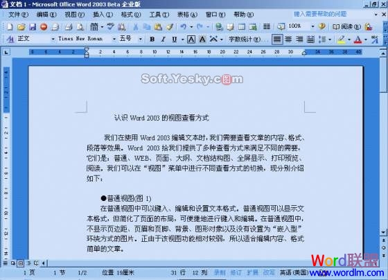 word頁面視圖,大綱視圖 Word2003中頁面視圖、大綱視圖詳細說明