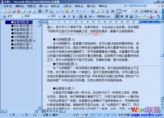 word頁面視圖,大綱視圖 Word2003中頁面視圖、大綱視圖詳細說明