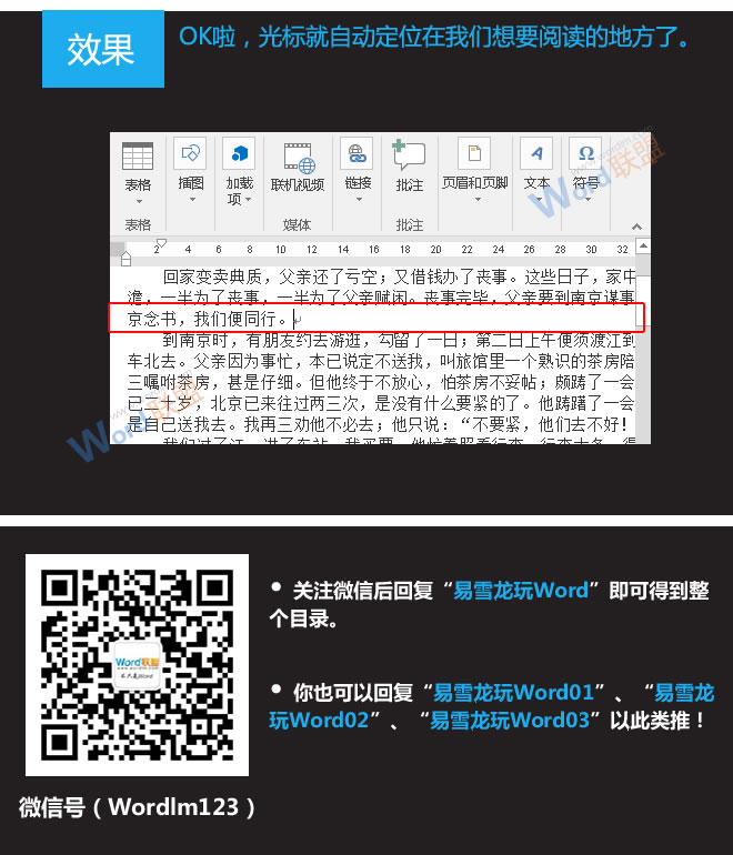 word添加書簽 給文本添加書簽：易雪龍玩Word第十九招