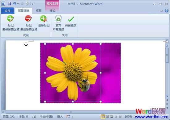 如何刪除word背景  刪除圖片背景 用Word2010就可以輕松搞定